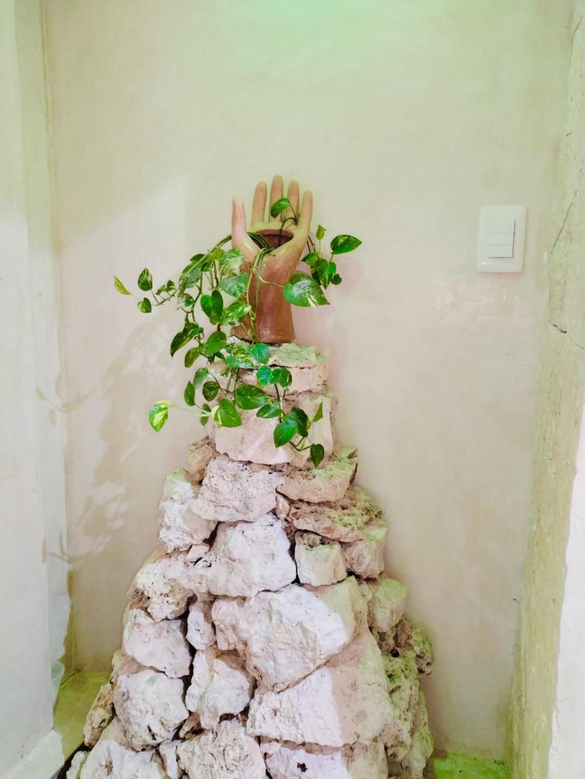 Hotel Sacbe Cobá エクステリア 写真